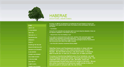 Desktop Screenshot of haberae.com